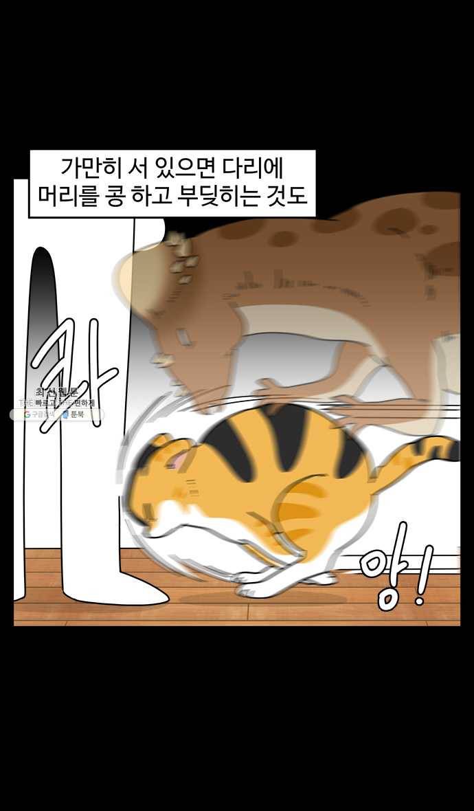 노곤하개 시즌4 50화 간질거리는 부분 7