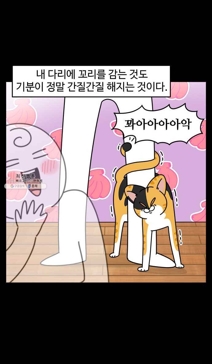 노곤하개 시즌4 50화 간질거리는 부분 8