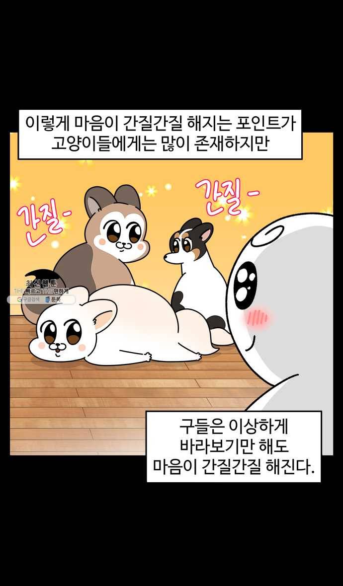 노곤하개 시즌4 50화 간질거리는 부분 15