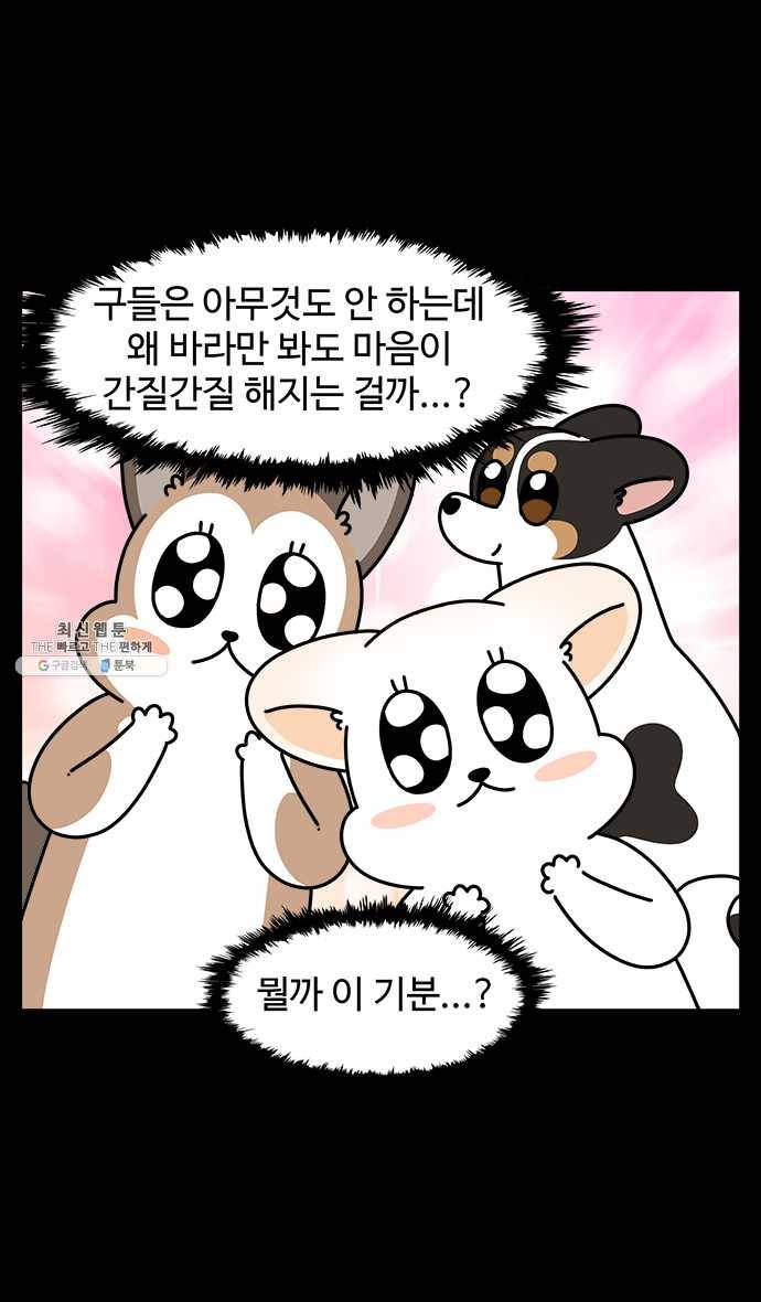 노곤하개 시즌4 50화 간질거리는 부분 16