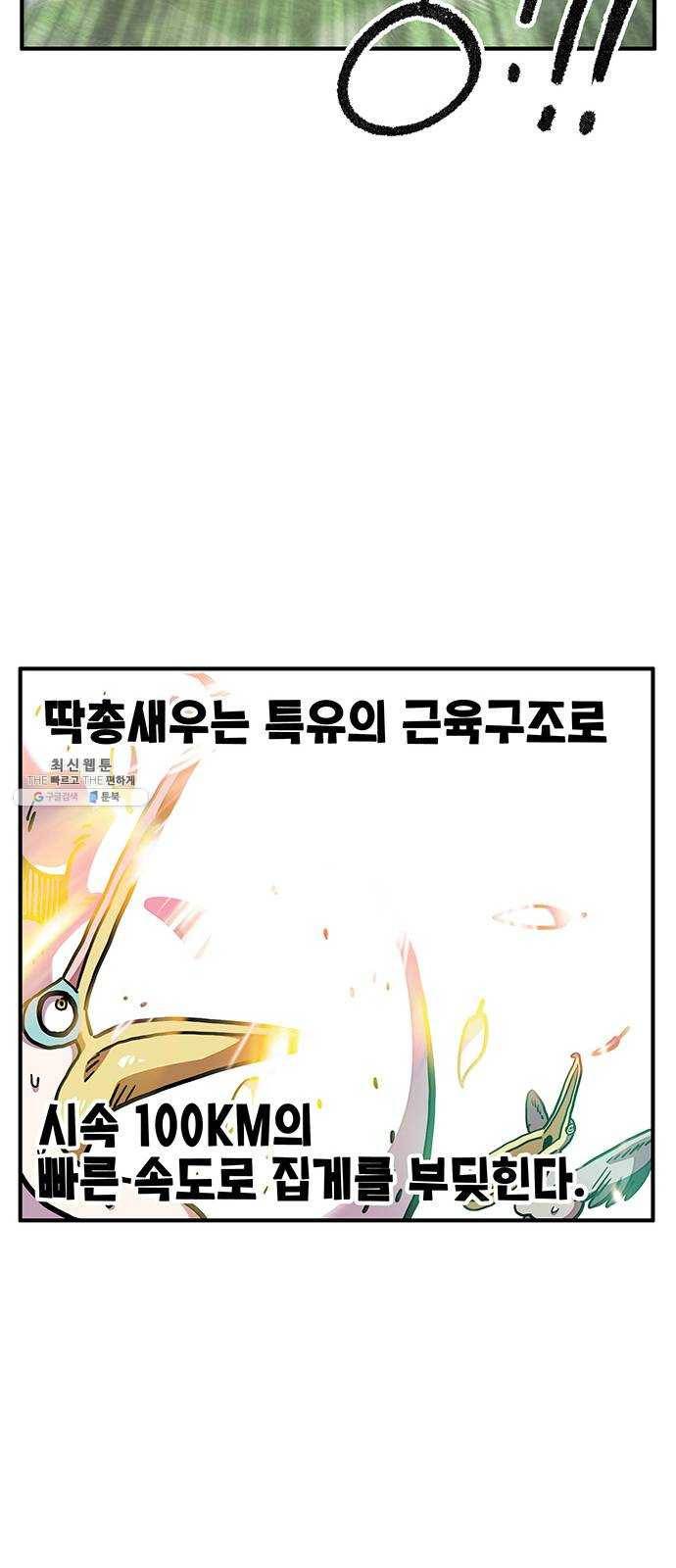 만물의 영장 PART2 16화 사다새 걸프 55