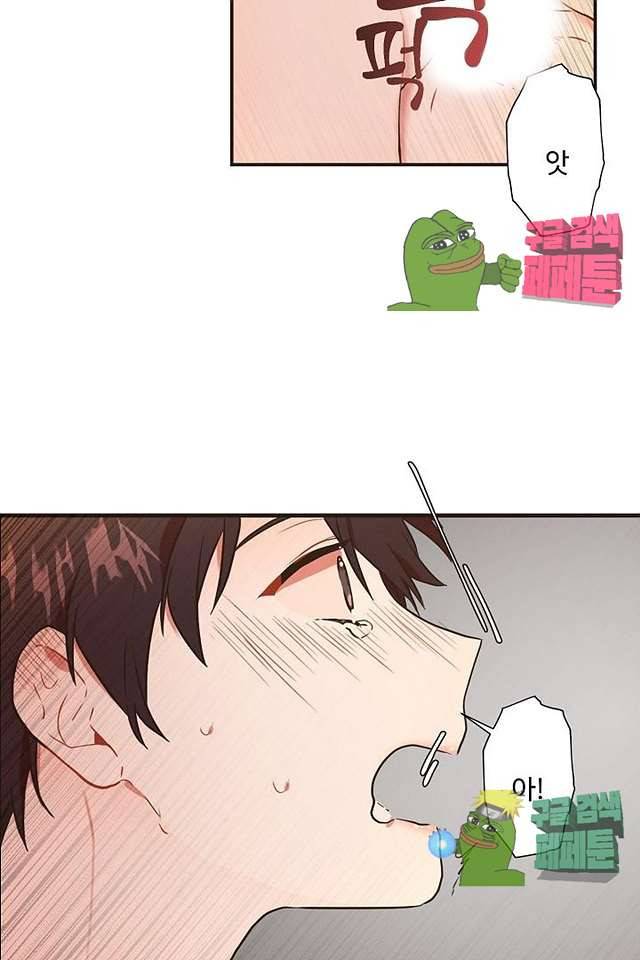 멍멍냥냥 62화 27