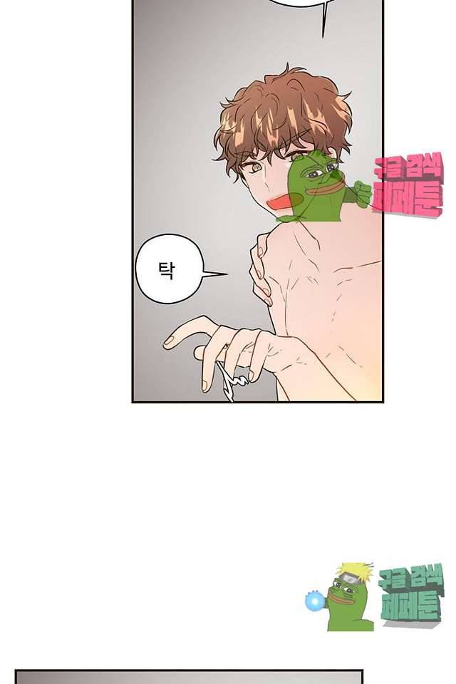 멍멍냥냥 62화 32