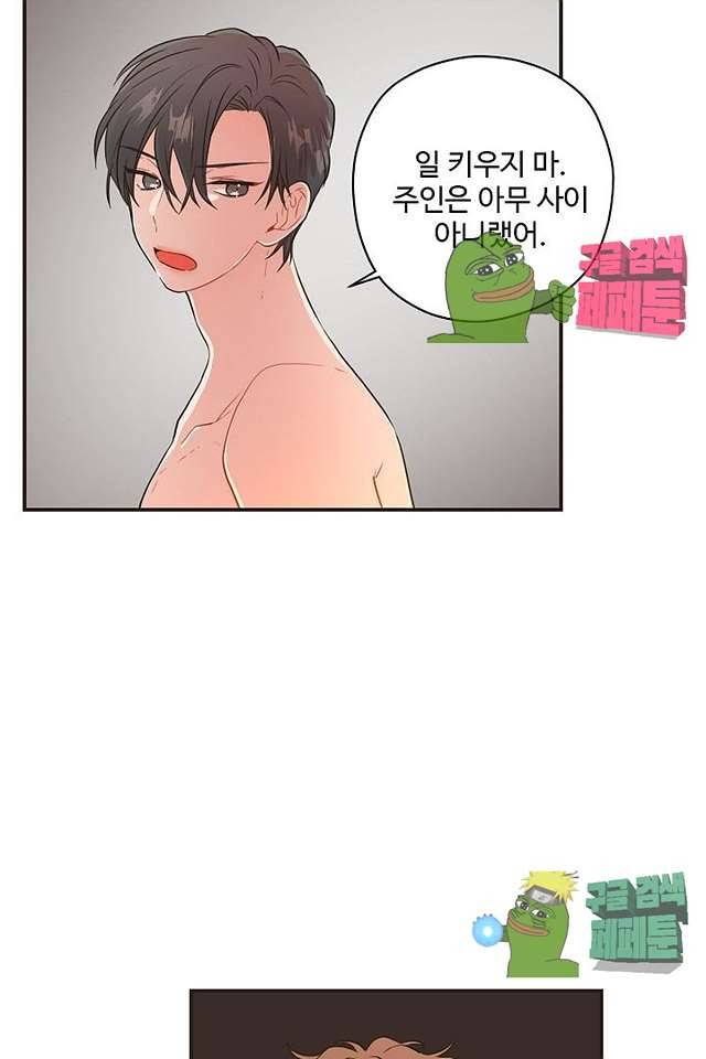 멍멍냥냥 62화 33