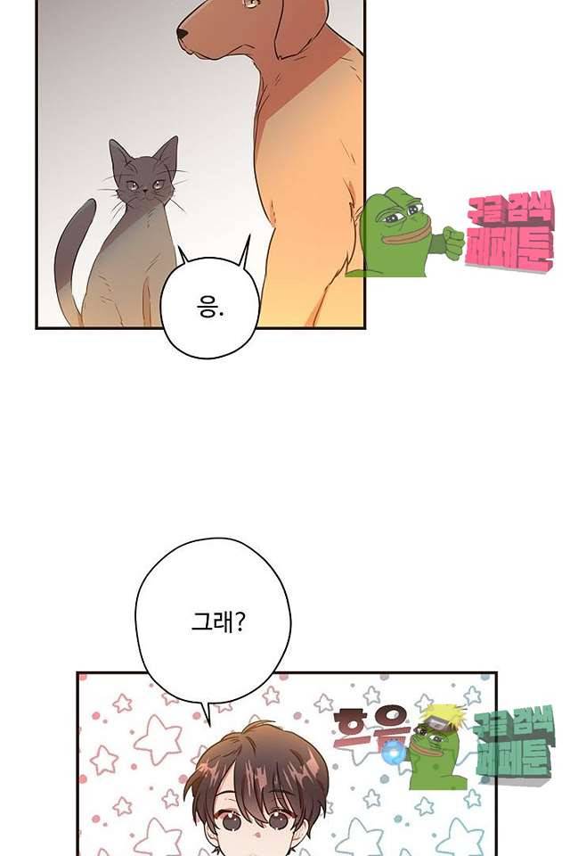 멍멍냥냥 62화 47