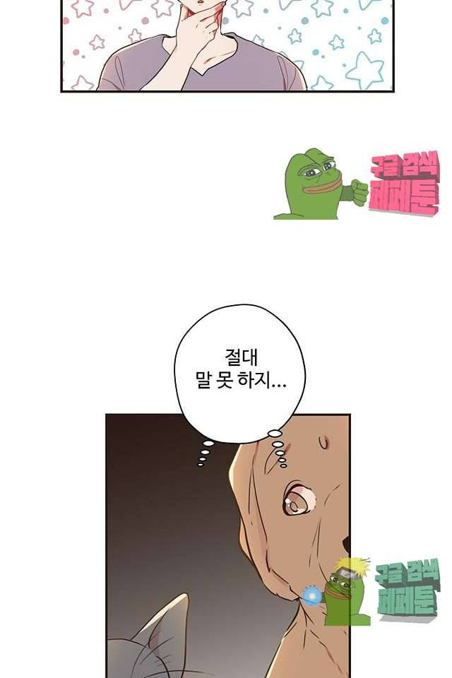 멍멍냥냥 62화 48