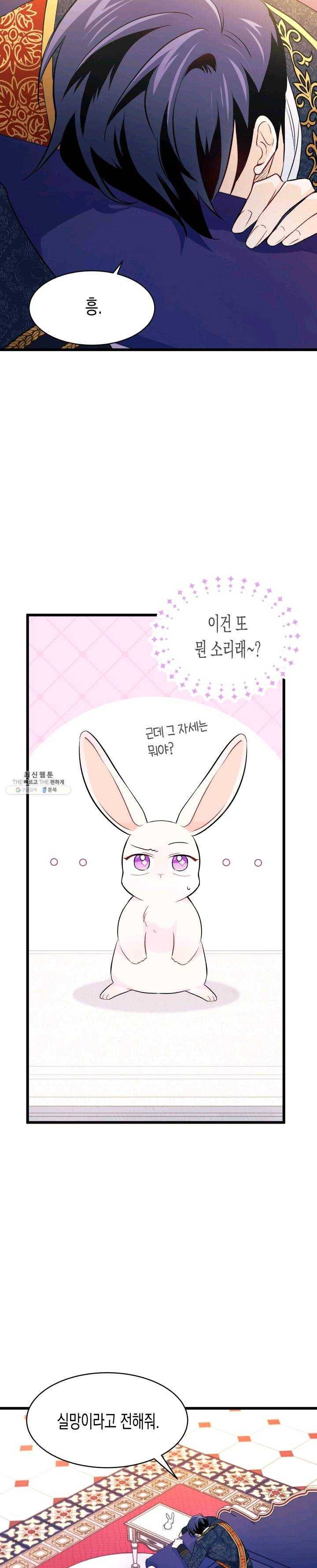토끼와 흑표범의 공생관계 22화 2