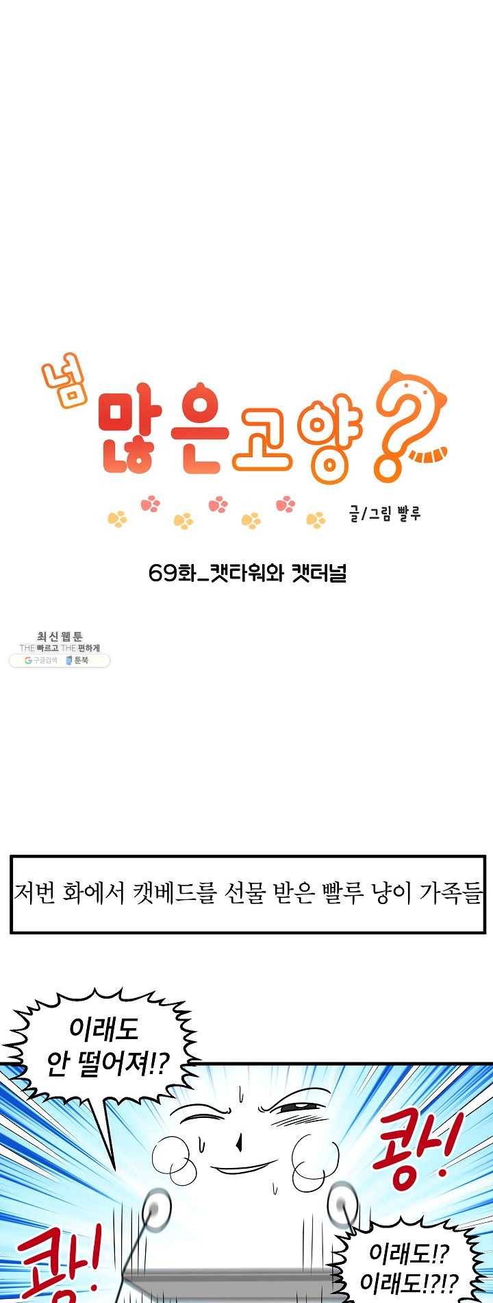 넘 많은 고양! 070화 1