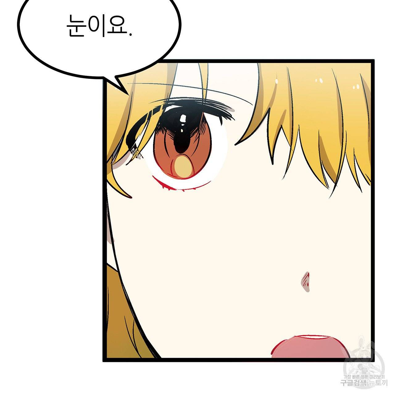 황제의 약혼녀로 산다는 것은 28화 41