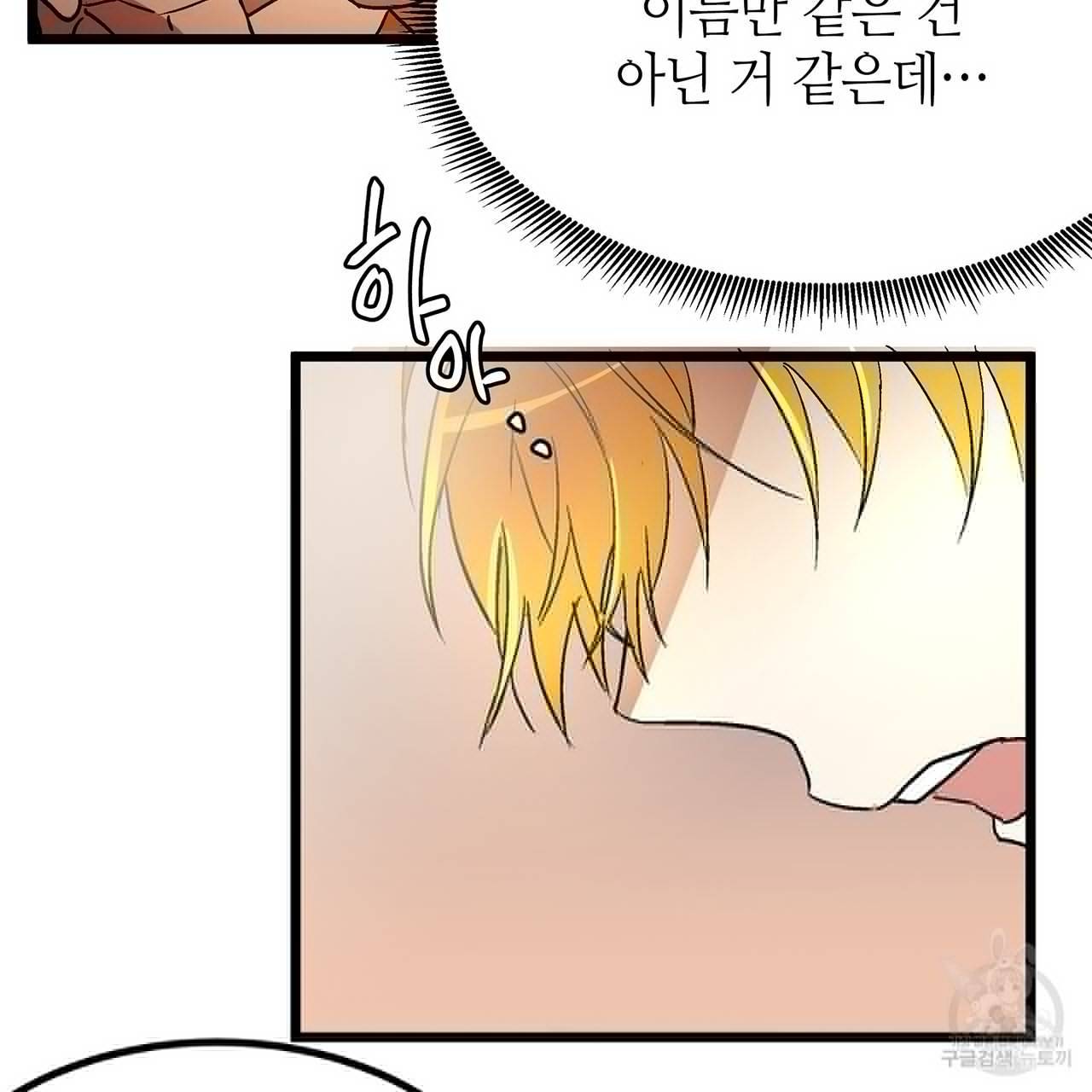 황제의 약혼녀로 산다는 것은 33화 49