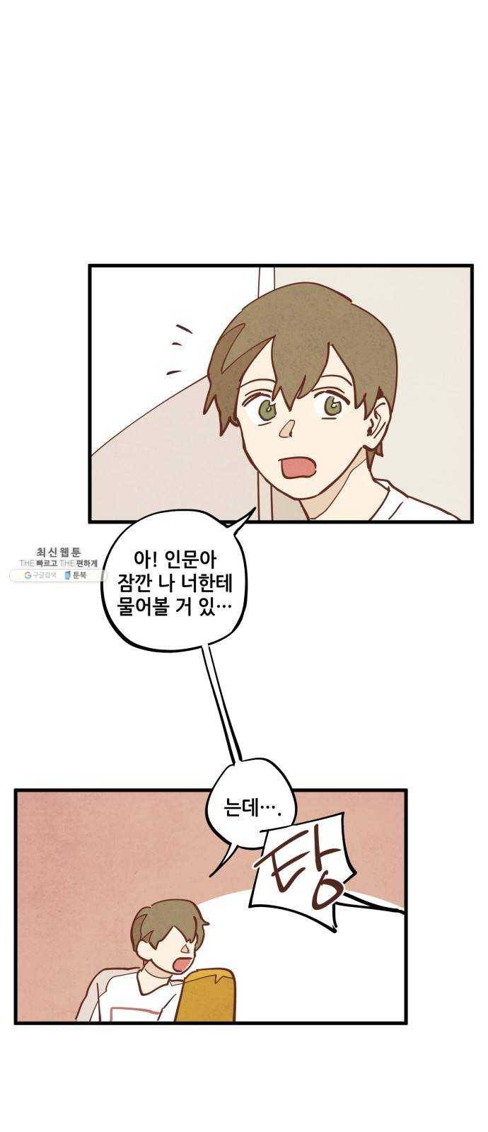 인문학적 감수성 30화: 귤나무와 삼색고양이(2) 8