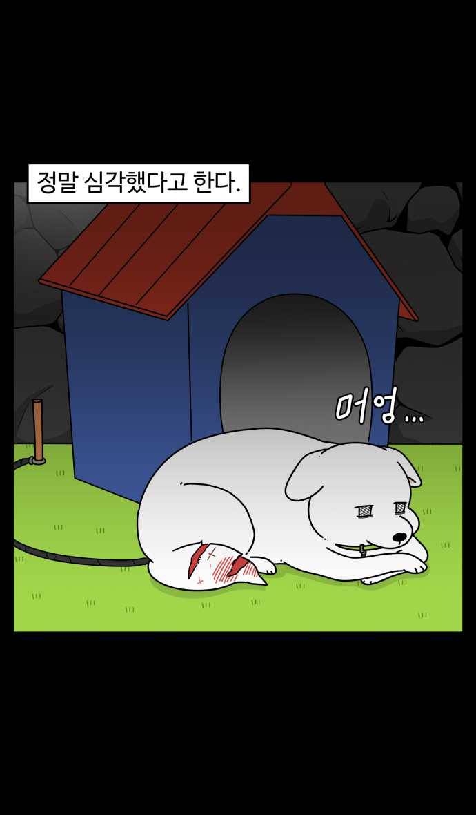 노곤하개 시즌4 57화 유기동물 쉼터 이야기 (2) 3