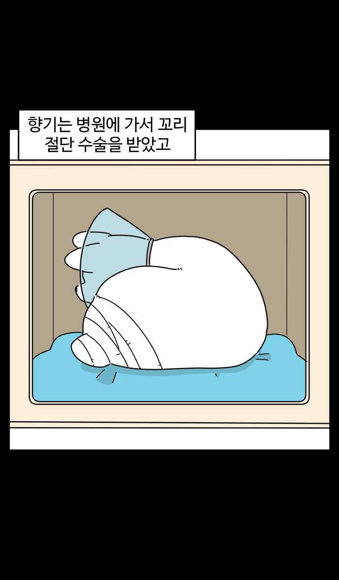 노곤하개 시즌4 57화 유기동물 쉼터 이야기 (2) 4