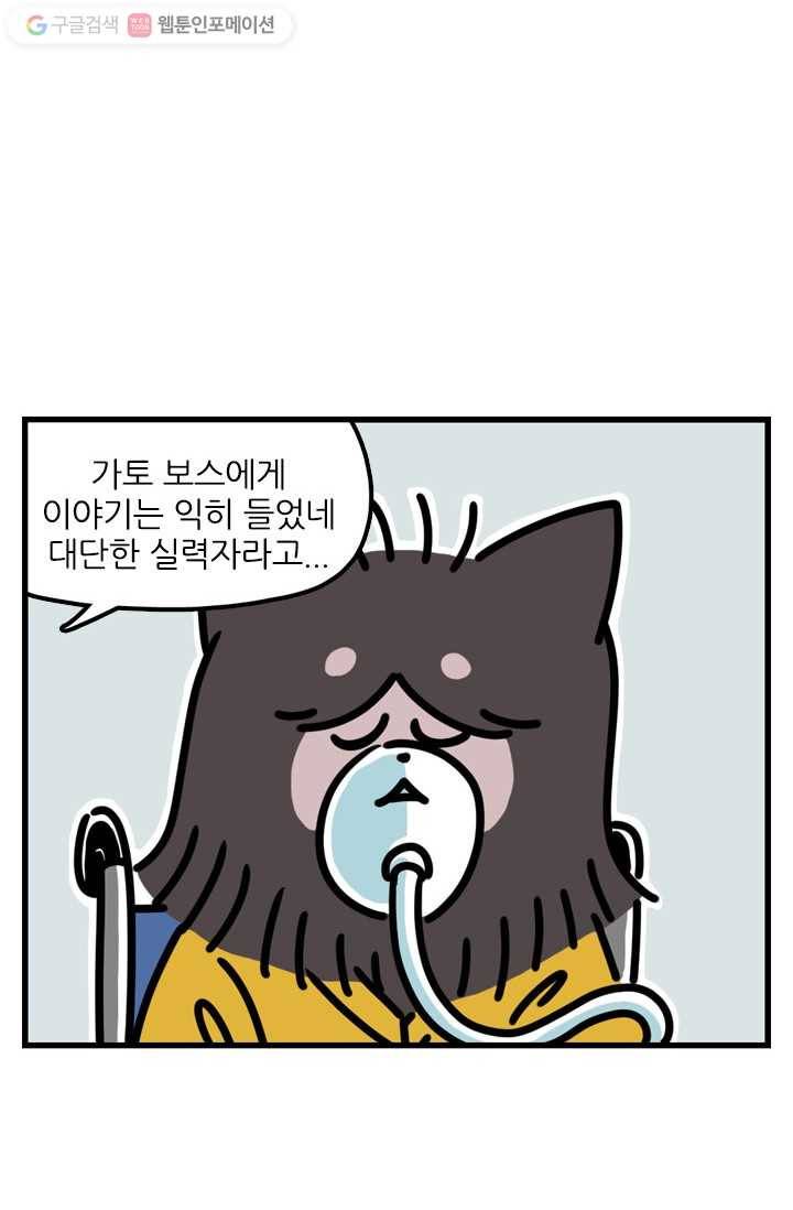 신세개냥 8화 2