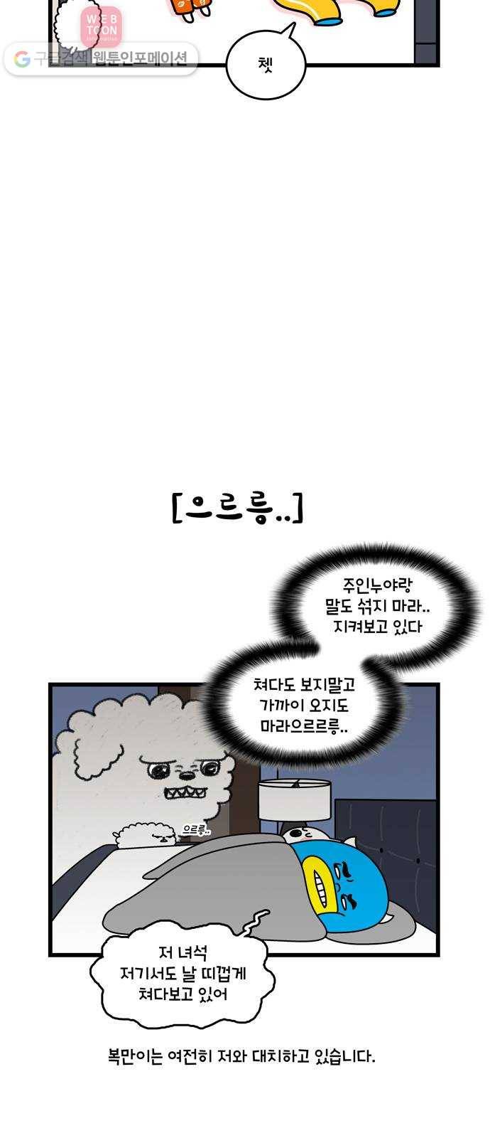 윌유메리미 시즌2 363화 반려동물 근황 2／4 - 복만이 3
