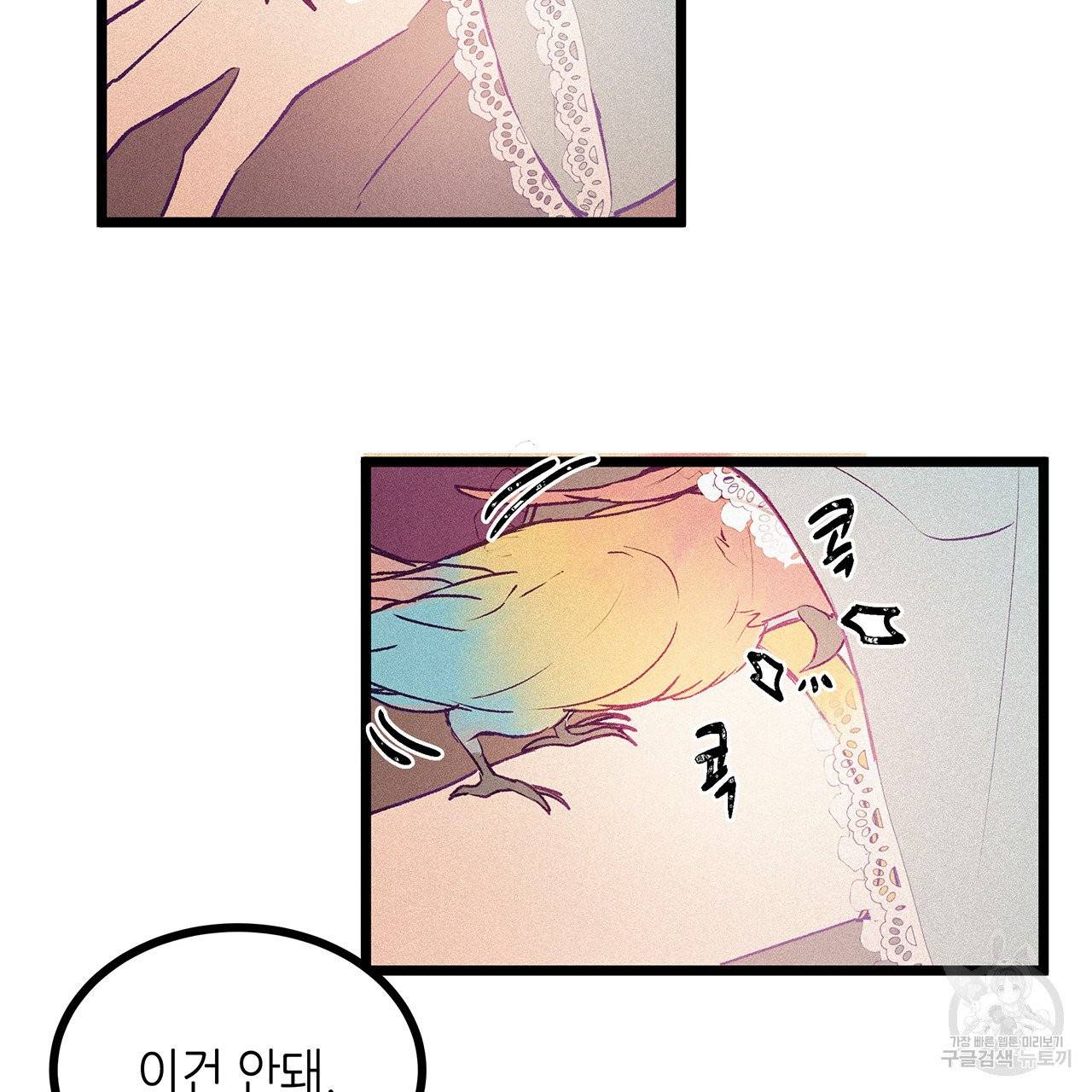 황제의 약혼녀로 산다는 것은 61화 55