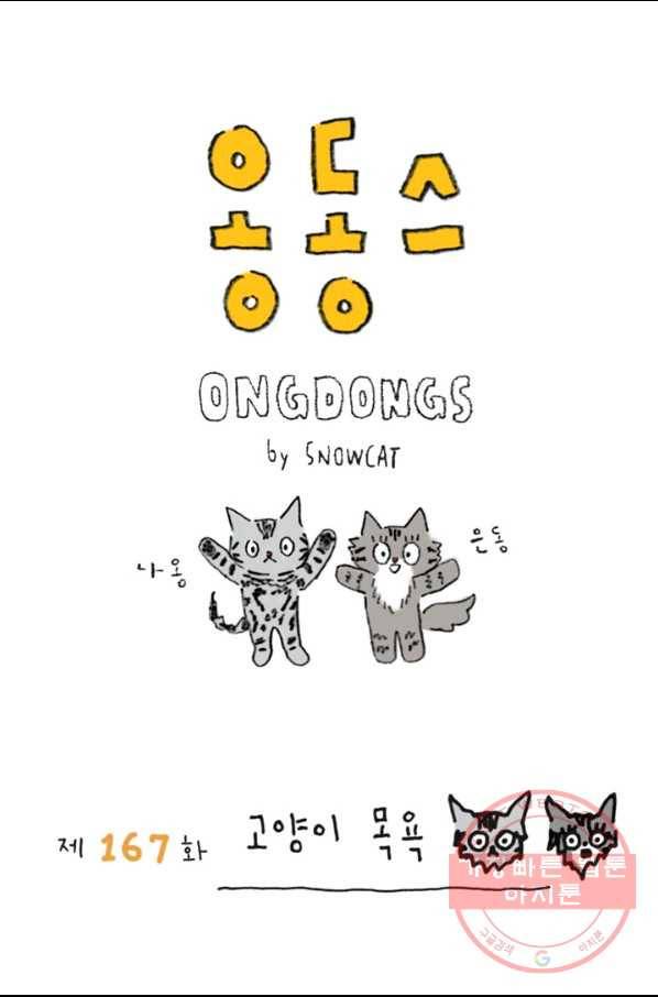 은동은동+옹동스 167화. 고양이 목욕 1