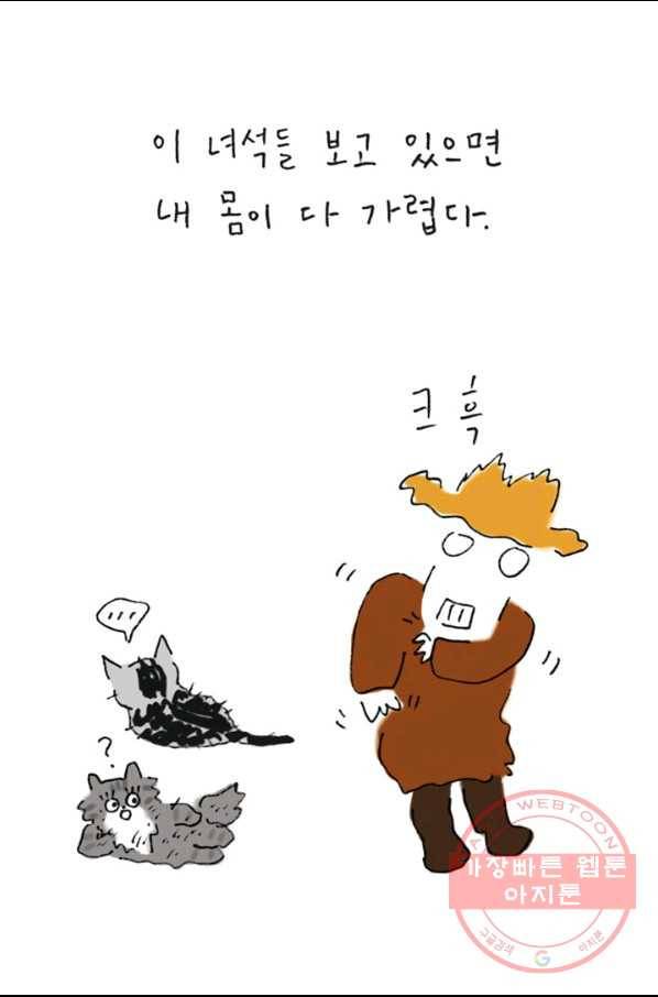 은동은동+옹동스 167화. 고양이 목욕 3