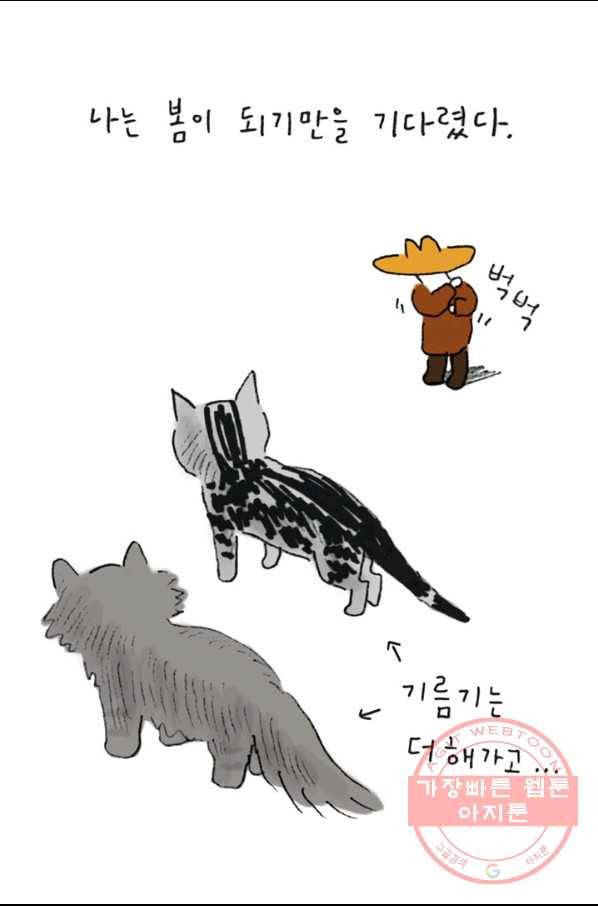 은동은동+옹동스 167화. 고양이 목욕 5