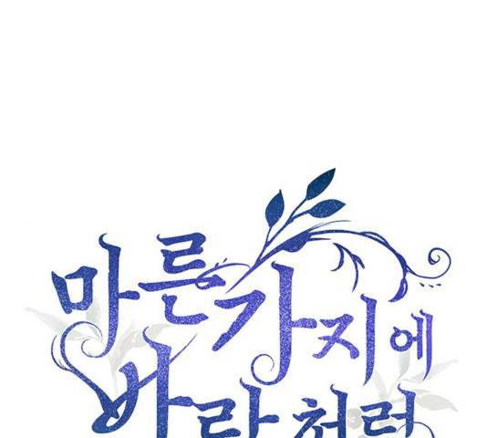 마른 가지에 바람처럼 47화 1