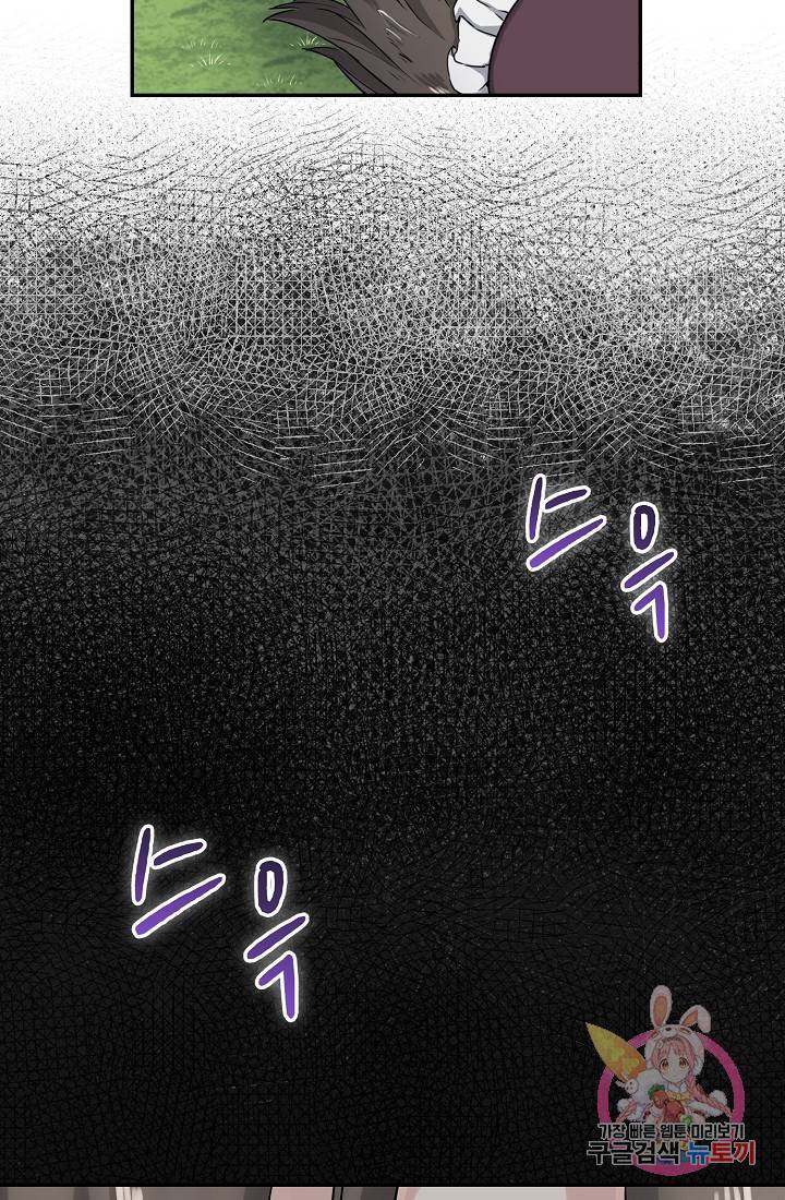 눌리타스 : 절반의 백작 영애 4화 달라지는 것은 아무것도 없었다 11