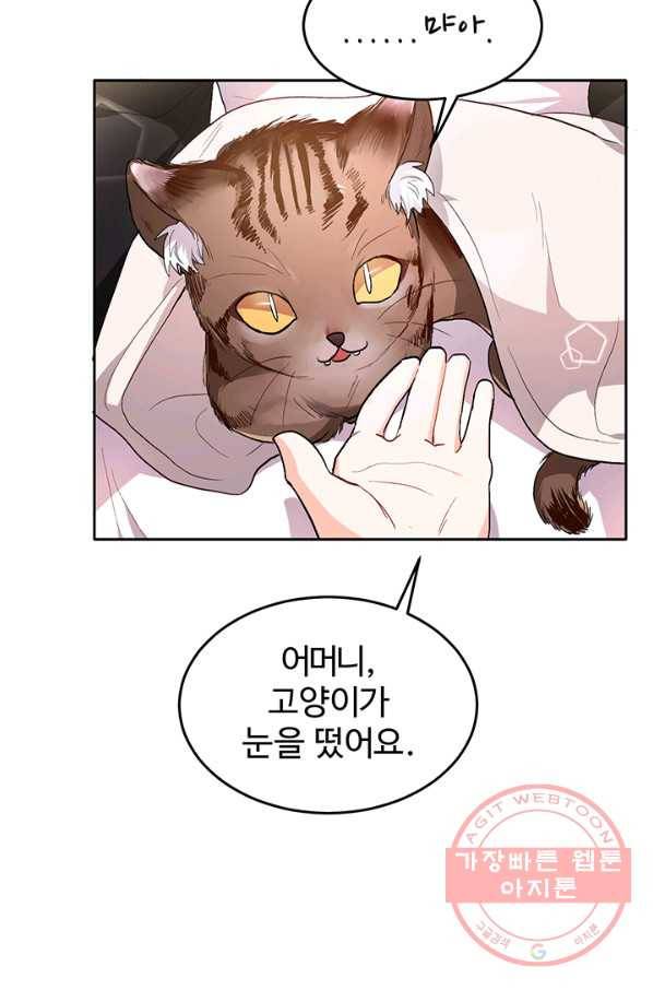 한 줄짜리 영애였을 터 79화 2
