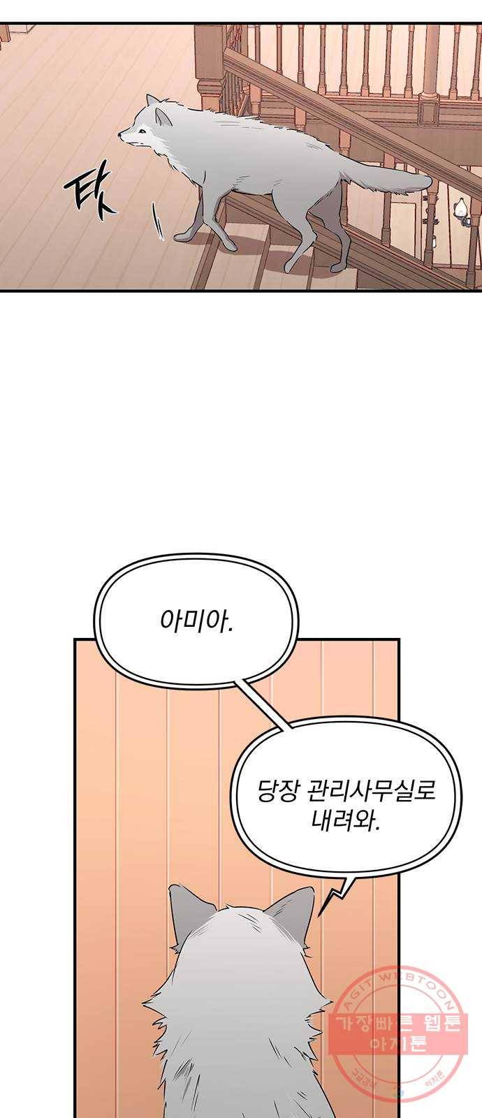 독신마법사 기숙아파트 5화 49