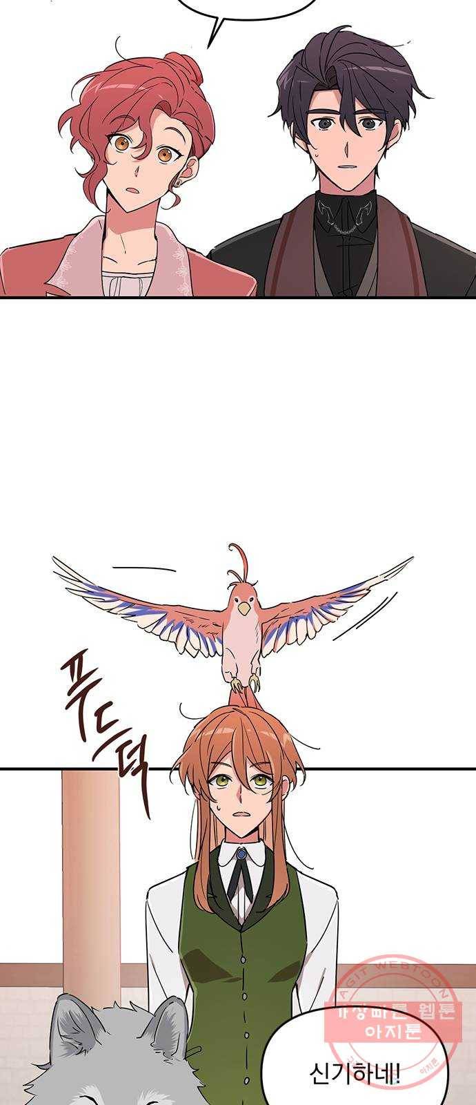 독신마법사 기숙아파트 5화 62