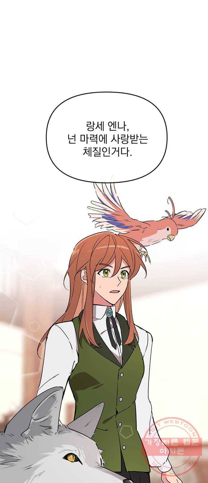 독신마법사 기숙아파트 5화 66