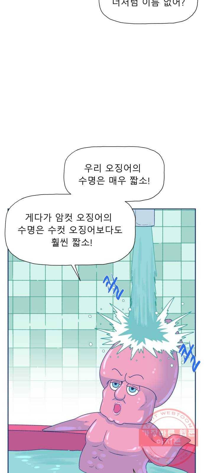 오징어도 사랑이 되나요? 19화 33