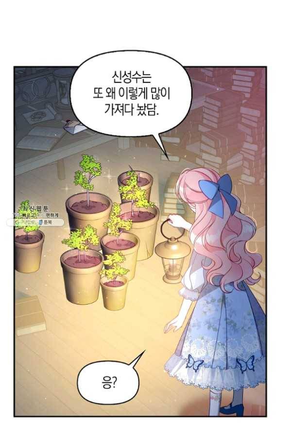 악당 대공님의 귀하디귀한 여동생 42화 4