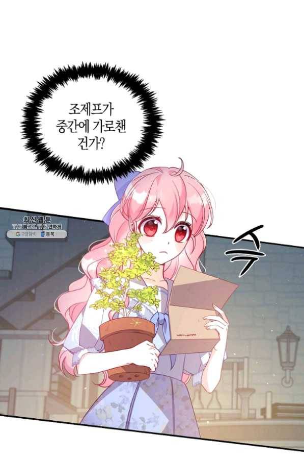 악당 대공님의 귀하디귀한 여동생 42화 10