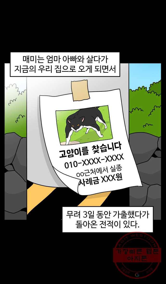 노곤하개 시즌4 79화 매미가 가출했다 (1) 2