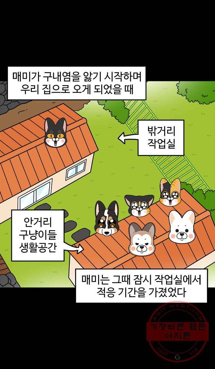 노곤하개 시즌4 79화 매미가 가출했다 (1) 4