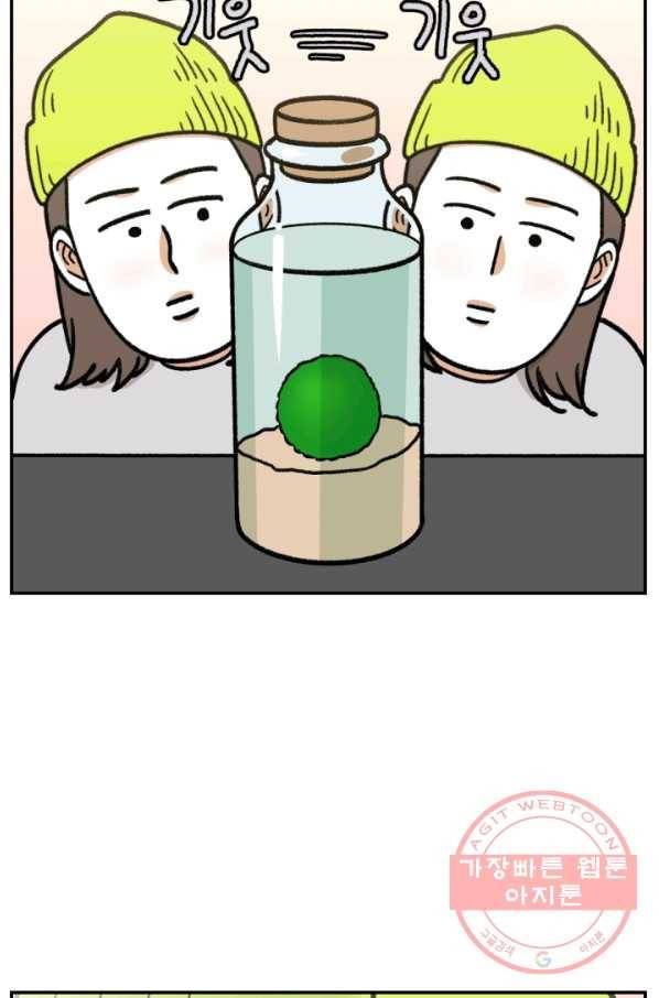 크레이지 가드너 6화 모스불과 마리모 9