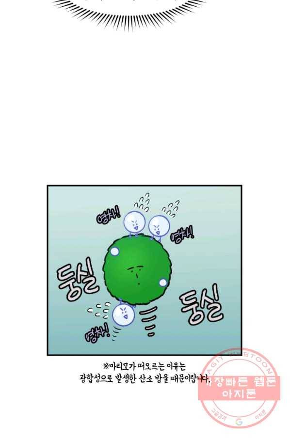 크레이지 가드너 6화 모스불과 마리모 12