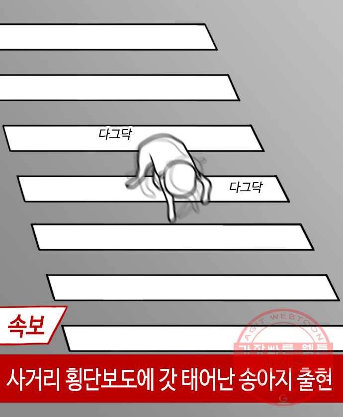 독립일기 시즌2 3화 PT (2) 15