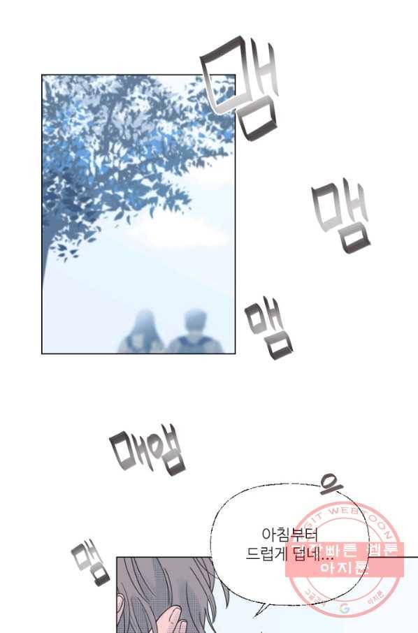 비타민C 비타민D 39화 1