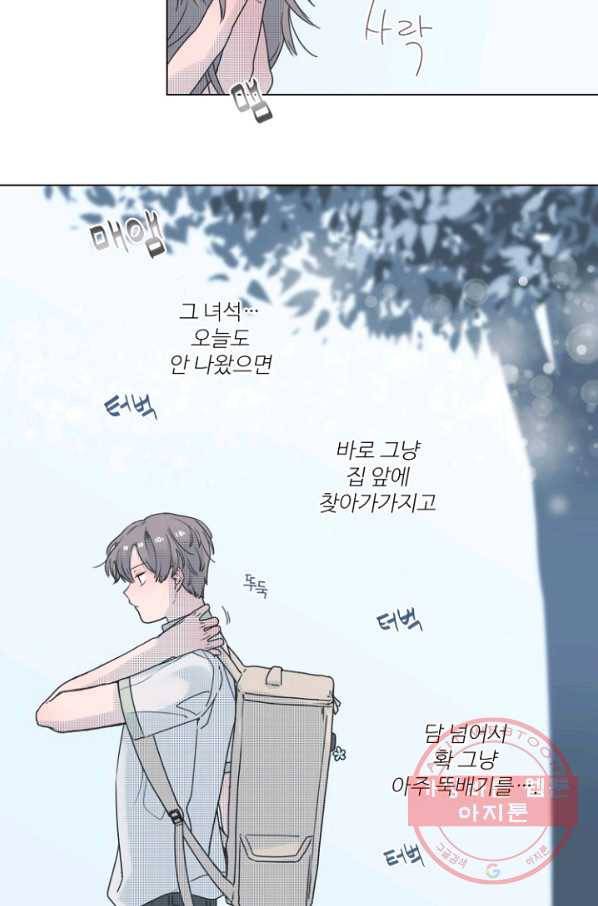 비타민C 비타민D 39화 2