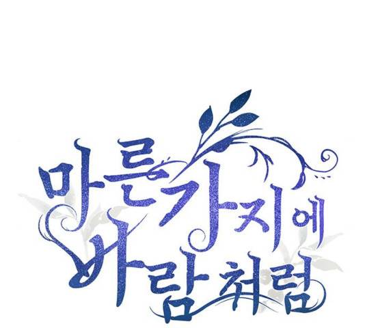 마른 가지에 바람처럼 57화 19