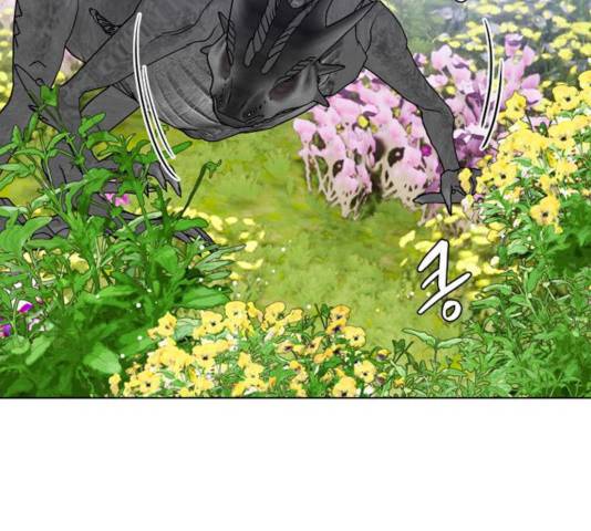 그 기사가 레이디로 사는 법 32화 117