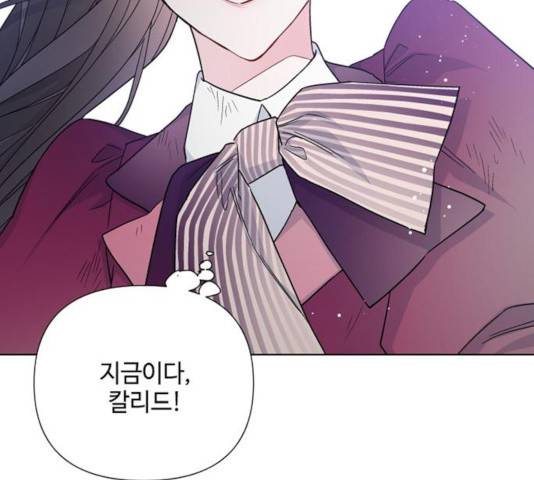 그 기사가 레이디로 사는 법 32화 149