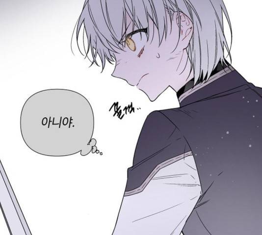 그 기사가 레이디로 사는 법 32화 165