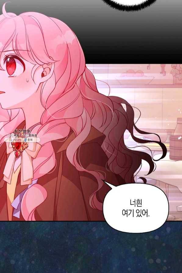 악당 대공님의 귀하디귀한 여동생 46화 17