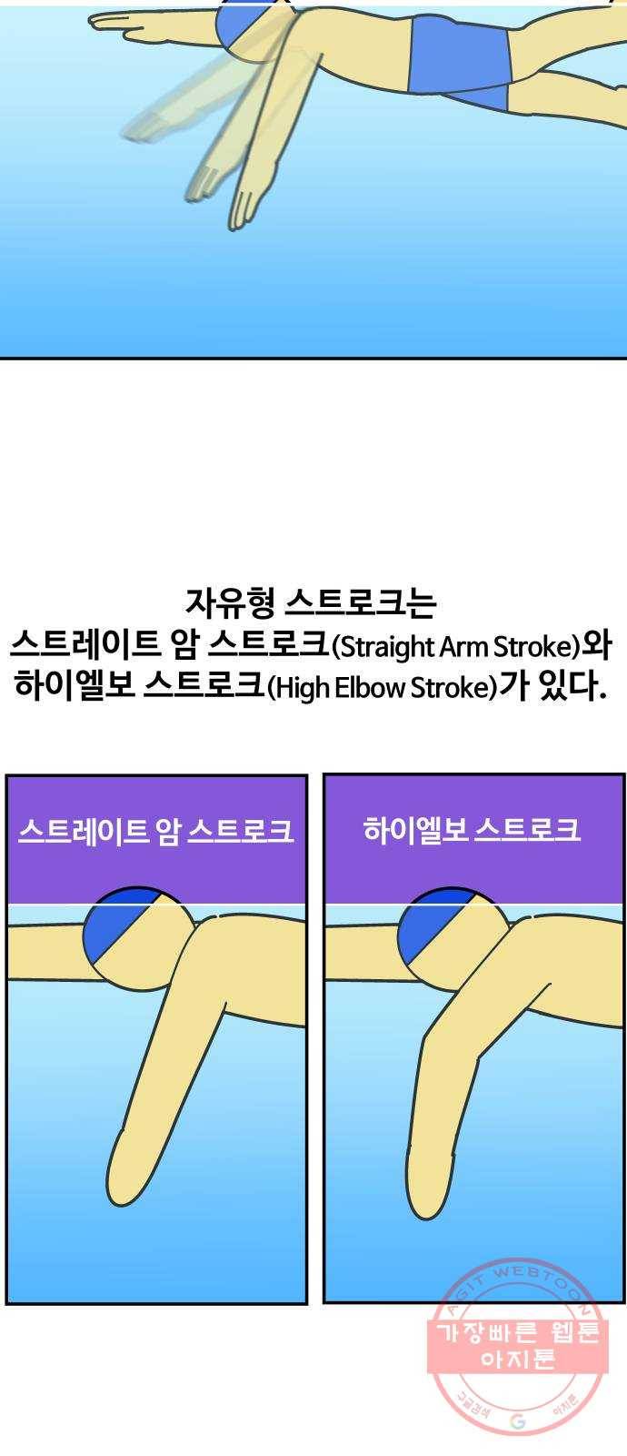수영만화일기 54화 글라이딩과 스트로크 그리고 물 잡기中 3