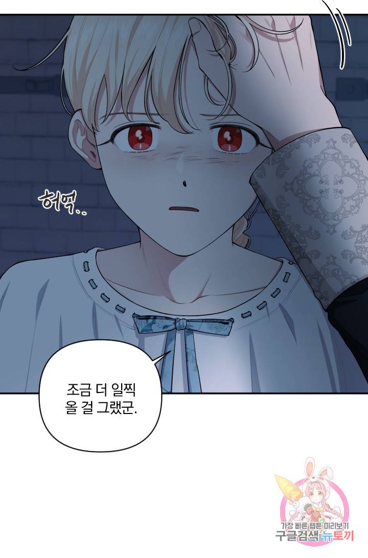 TL 소설 속 시녀가 되었습니다 53화 65