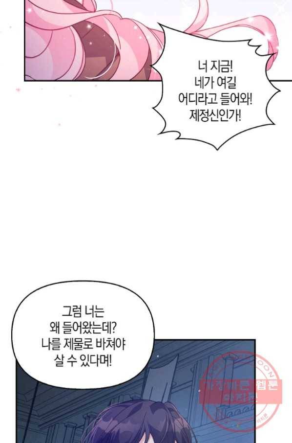 악당 대공님의 귀하디귀한 여동생 47화 10
