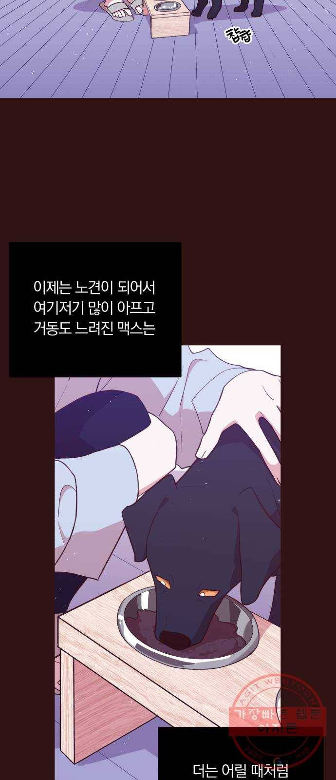 와이키키 뱀파이어 66화. 제비꽃 인생(4) 6