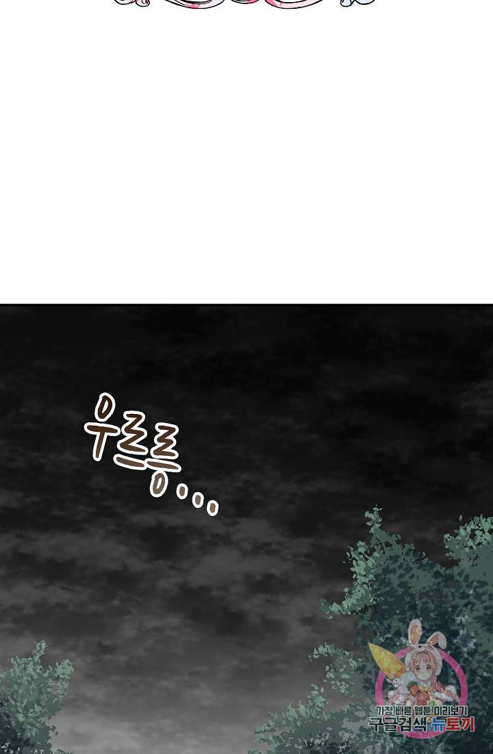 눌리타스 : 절반의 백작 영애 28화 2