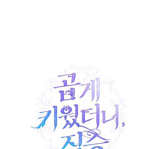 곱게 키웠더니, 짐승 51화 9